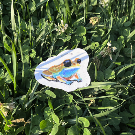 Küçük Boy Tekli Sticker - Pastel Kurbağa