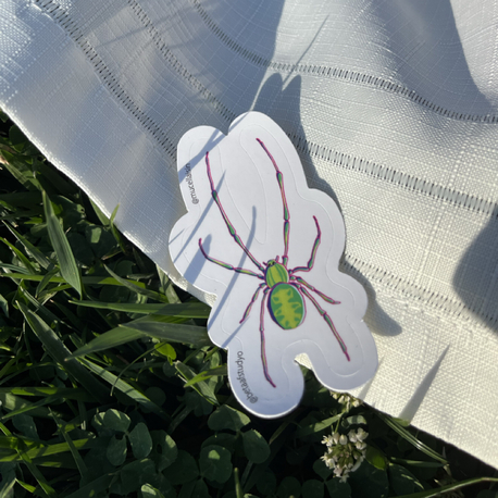 Küçük Boy Tekli Sticker - Örümcek 1