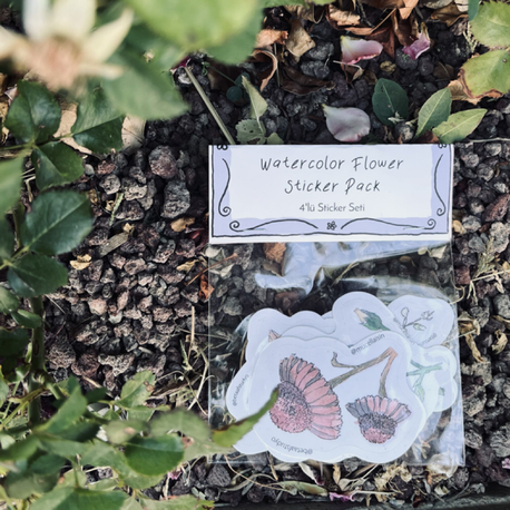 Watercolor Flower Sticker Pack - 4’lü Sticker Seti