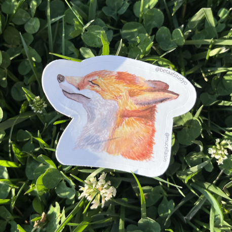 Orta Boy Tekli Sticker - Tilki