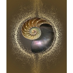 J.A. SPIRITUAL DOWSİNG