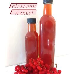 GİLABURU SİRKESİ 500 cc