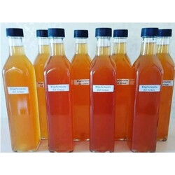 GÜL SİRKESİ 500 cc 