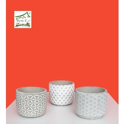 Dekoratif Beton Saksı (Açık Renk)