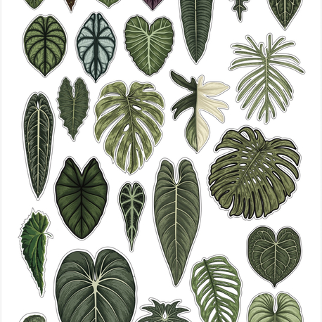 Plant Sticker Set