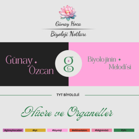 GÜNAY HOCA DERS NOTLARI / HÜCRE VE ORGANELLER (PDF)