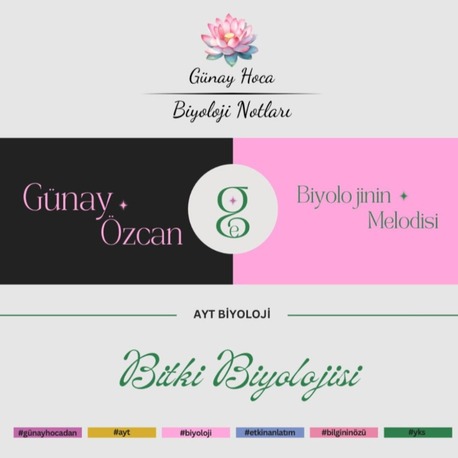GÜNAY HOCA DERS NOTLARI / BİTKİ BİYOLOJİSİ (PDF)