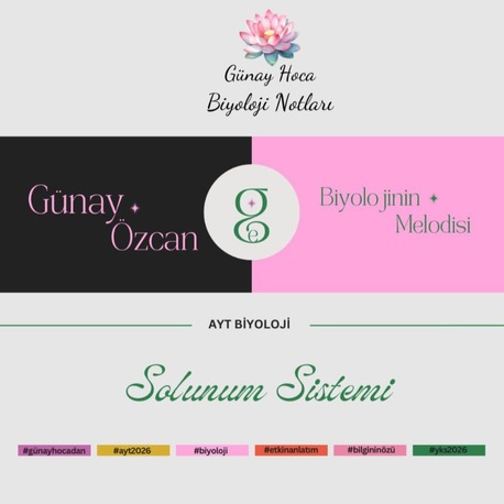 GÜNAY HOCA DERS NOTLARI/SOLUNUM SİSTEMİ AYT(PDF)
