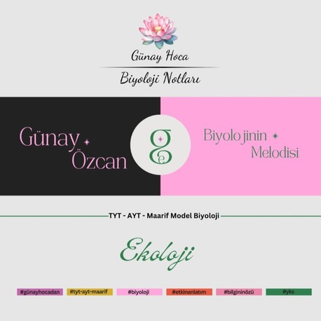GÜNAY HOCA DERS NOTLARI / EKOLOJİ (PDF)