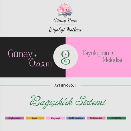 GÜNAY HOCA DERS NOTLARI / BAĞIŞIKLIK SİSTEMİ (PDF)