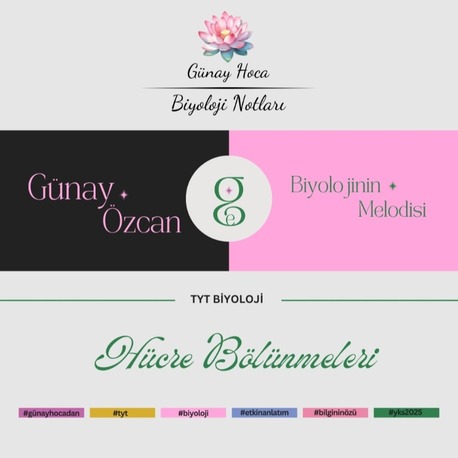 GÜNAY HOCA DERS NOTLARI / HÜCRE BÖLÜNMELERİ (PDF)