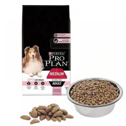 KÖPEK KURU MAMASI 