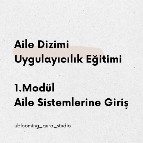 Aile Dizimi Uygulayıcılık Semineri 1.Modül