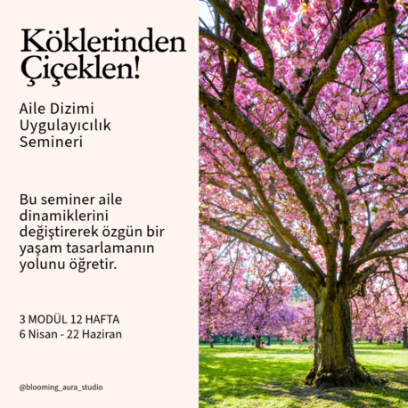 KÖKLERİNDEN ÇİÇEKLEN / Aile Dizimi Uygulayıcılık Semineri
