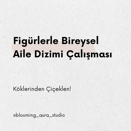 Figürlerle Bireysel Aile Dizimi 