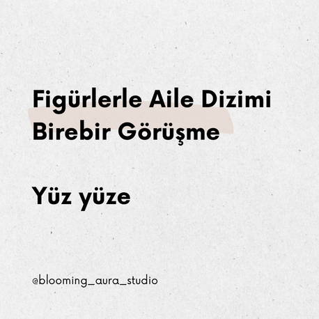 Figürlerle Aile Dizimi Birebir Görüşme 