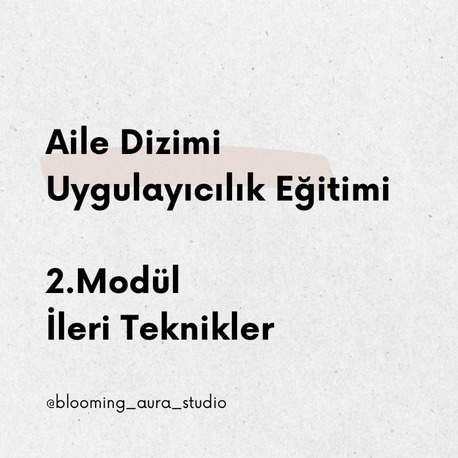 Aile Dizimi Uygulayıcılık Semineri Modül 2