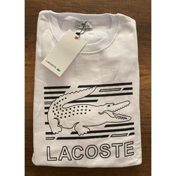 LACOSTE TİŞÖRT 
