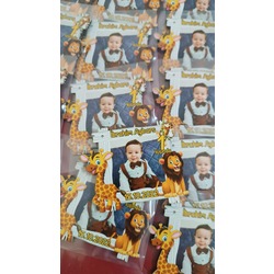 Safari Hayvanlı Magnet