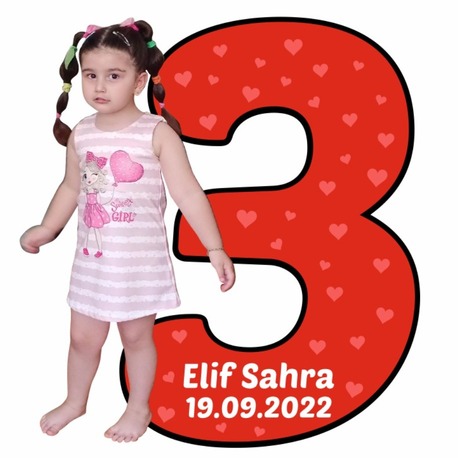 Rakamlı Magnet