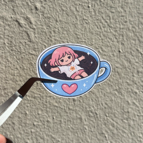 BonaPi No:6
