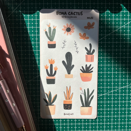 Bona Cactus No:80