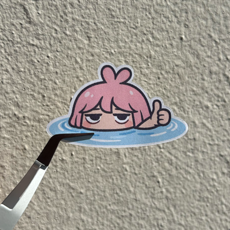 BonaPi No:2
