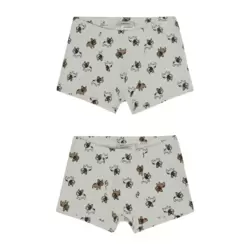 ANTEBIES - Selam Buldog Boxer İkili Paket
