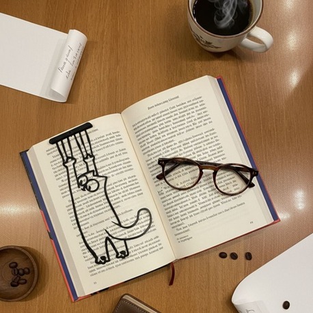 Tırmıkçı Kedi Ayracı | BookyFancy