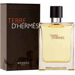 Hermes Terree D' Edt 100 ml Erkek Parfümü