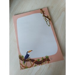 Toucan dreams 