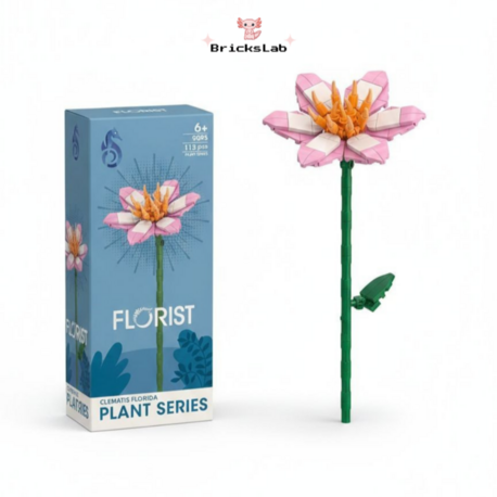 Brick Çiçek Clematis – Pastel Zarafet Seti