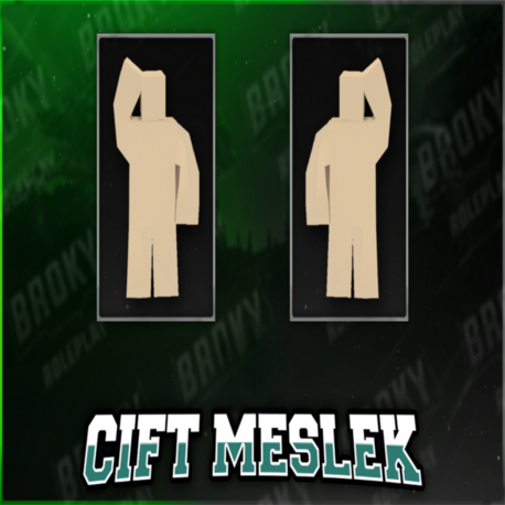 Çift Meslek