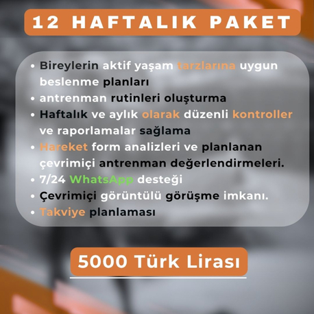 12 Haftalık Danışmanlık.