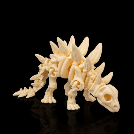 Stegosaurus İskeleti