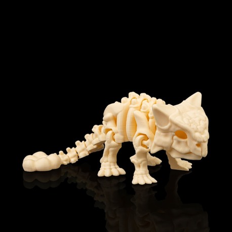Ankylosaurus İskeleti