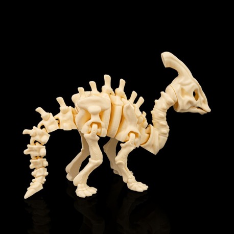 Parasaurolophus İskeleti