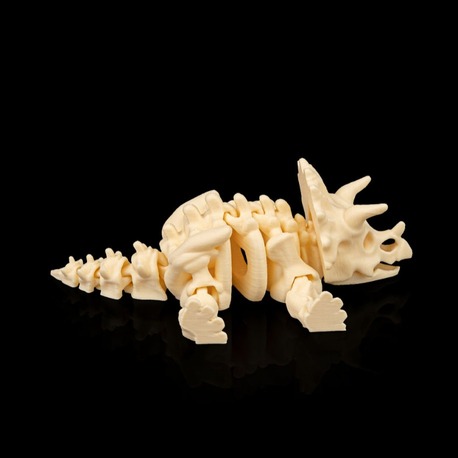 Triceratops İskeleti