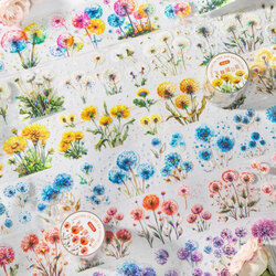 Colourful Dandelion Holografik Pet Bantlar/1 döngü