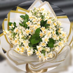 Nergis aşkınaa