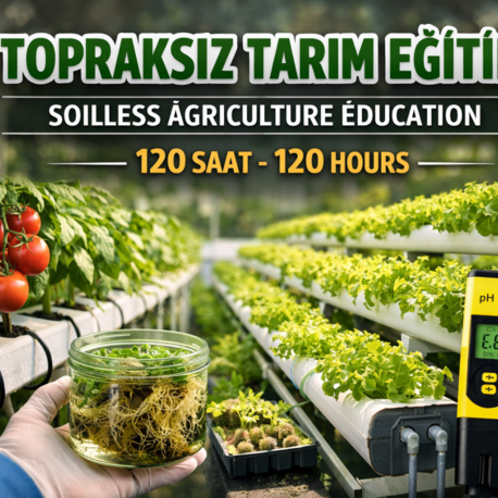 Kod 55 – Topraksız Tarım Eğitimi (120 Saat)