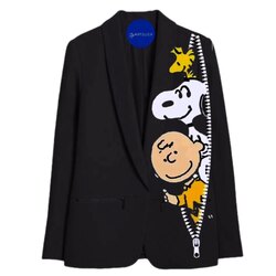 Snoopy and Friends hide 