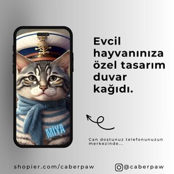 Kişiye Özel Evcil Hayvan Telefon Wallpaper Tasarımı