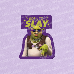 SLAY SHREK STICKER VE PASTA SÜSÜ