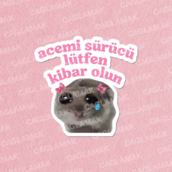 Acemi Sürücü Hamster 1 Adet
