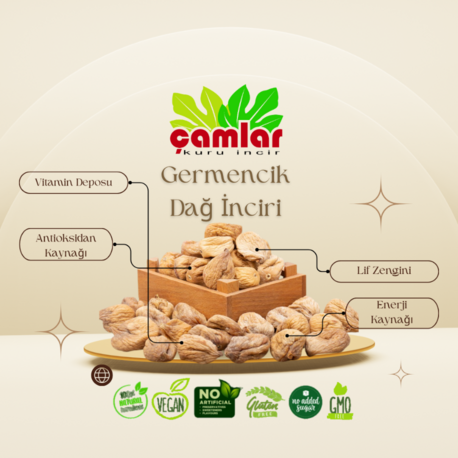 Çamlar Aydın Germencik Dağ İnciri ( SEÇMELİ )