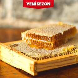 1 kg - Çamlıbelden Gerçek Petek Bal