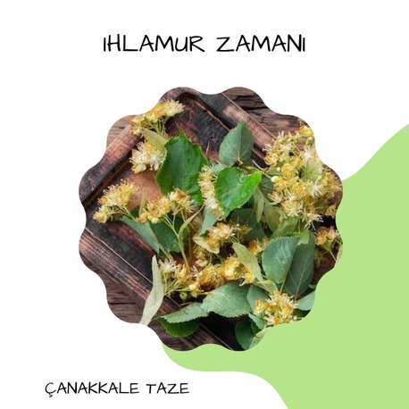 IHLAMUR ÇiÇEK 30 Gr