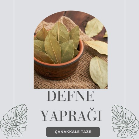 DEFNE YAPRAĞI 30 Gr