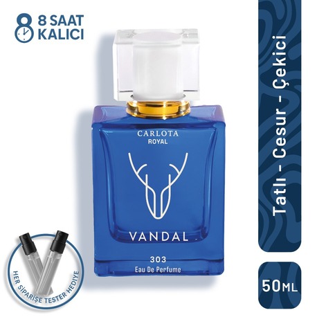 Vandal Erkek Parfüm 50 ML
